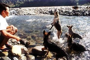 Tägliches Training der Rettungshunde – Baden inclusive!